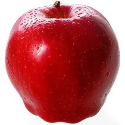 Illustration fullest - Image 1