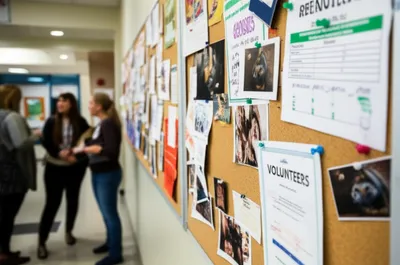 Illustration messageboard