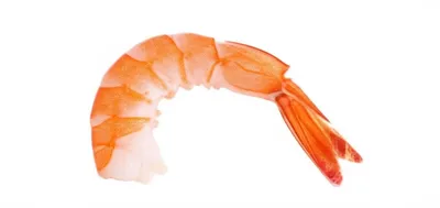 Illustration cutlets - Image 1