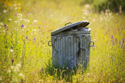 Illustration jars - Image 1