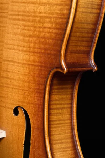 Illustration button - Image 1