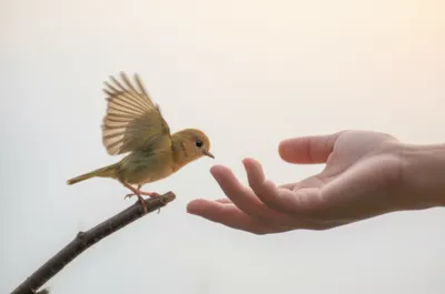 Illustration just - Image 1