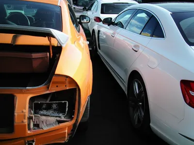 Illustration ringers - Image 1