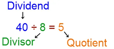 Illustration dividend - Image 2