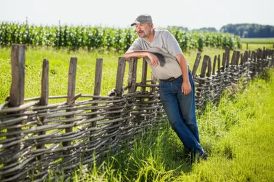 Illustration frith - Image 1