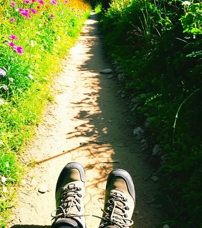 Illustration preferring - Image 1