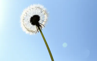 Illustration vanishing - Image 1