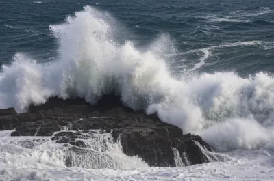 Illustration rote - Image 1