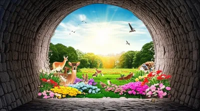 Illustration widen - Image 1