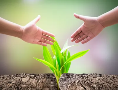 Illustration reconcile