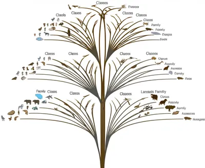 Illustration orders - Image 1