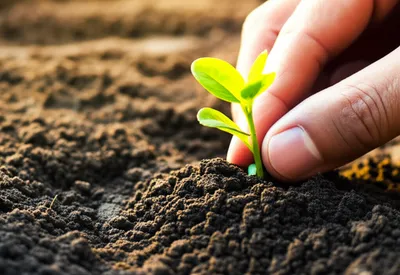 Illustration instituting