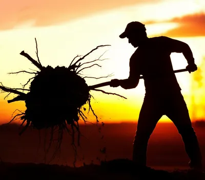 Illustration grub - Image 1