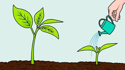 Illustration reinforcing - Image 1