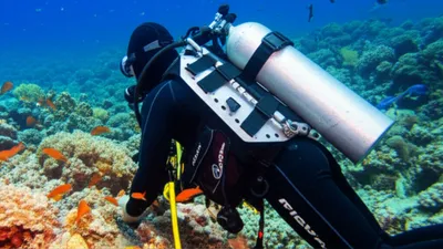 Illustration backplate - Image 1