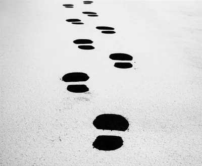 Hình ảnh minh họa reiterate - Ảnh 1