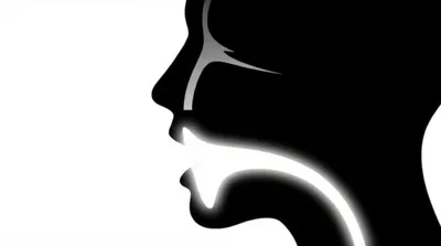 Illustration advanced - Image 1