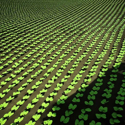 Illustration big - Image 1