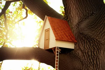 Illustration trees - Image 1