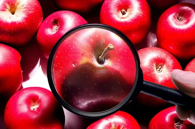 Illustration crit - Image 1