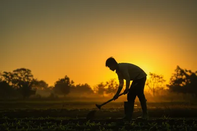 Illustration crackers - Image 1