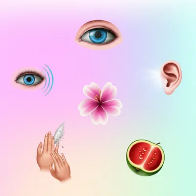 Illustration wits - Image 1