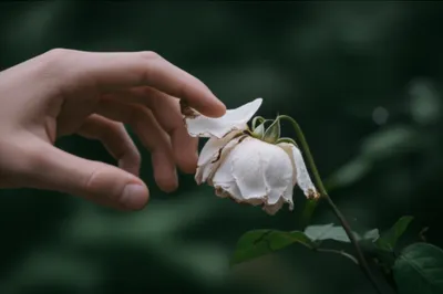 Illustration stricken - Image 1