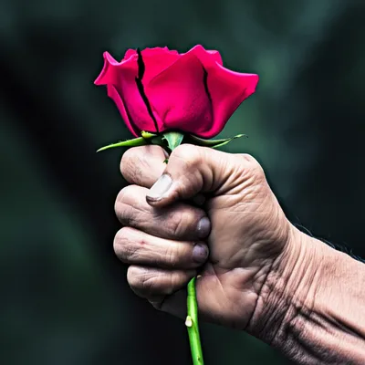 Illustration rends - Image 1