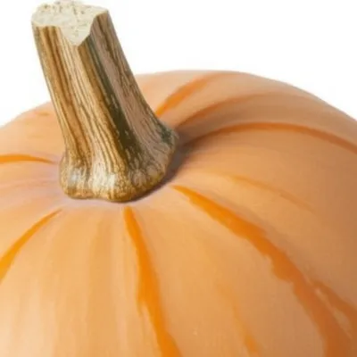 Illustration gourd - Image 1