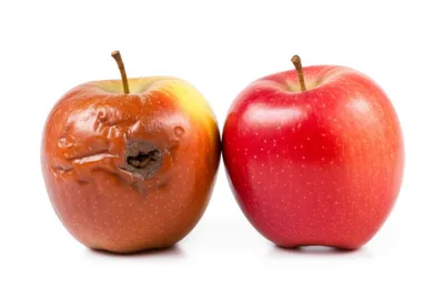 Illustration paired - Image 1