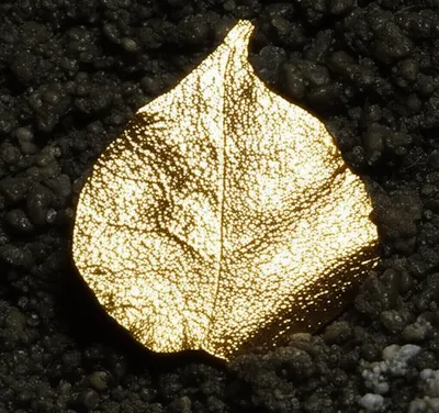 Illustration nugget - Image 1