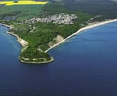 Illustration tongue - Image 2