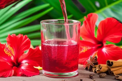 Illustration sorrel - Image 1