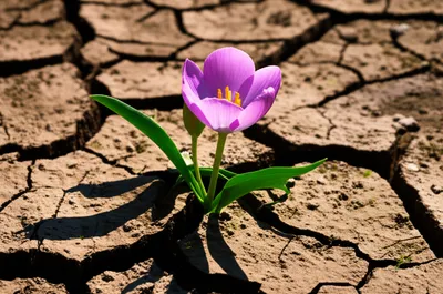 Illustration reanimate - Image 1