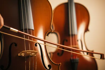 Illustration accompanies - Image 1