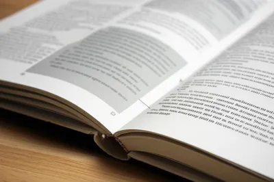 Illustration footnote