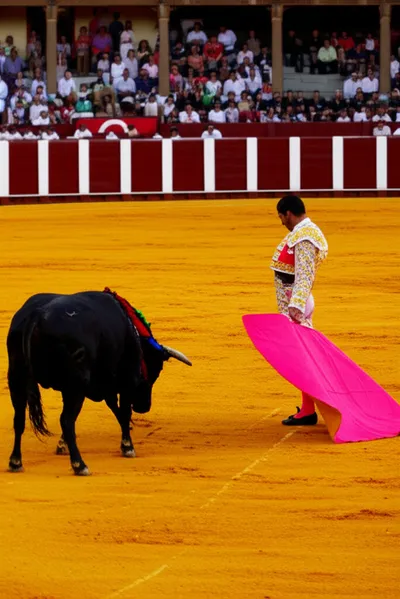 Illustration bullfight