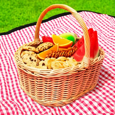 Illustration chow - Image 1