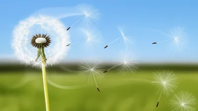 Illustration blew - Image 1