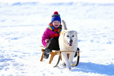 Illustration sled - Image 1