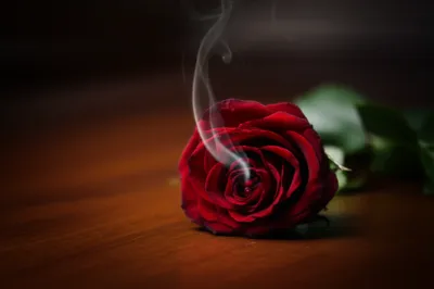 Illustration smoking - Image 1