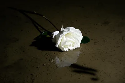 Illustration sordid - Image 1