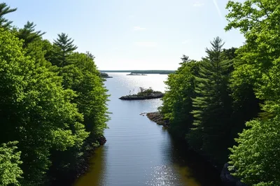 Illustration kills - Image 1