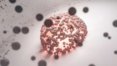 Illustration organisms - Image 2