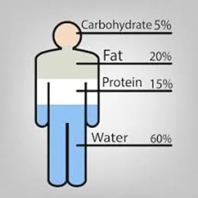 Illustration substance - Image 3