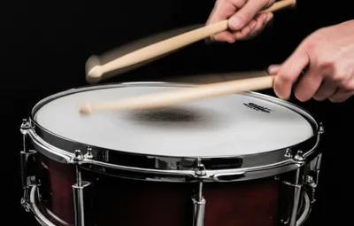 Illustration bate - Image 1