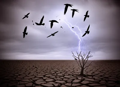 Illustration fatalities - Image 1