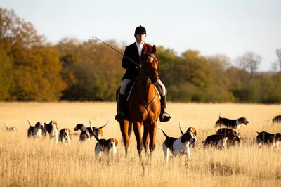 Illustration whip - Image 1