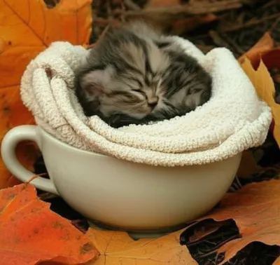 Illustration nestles - Image 1