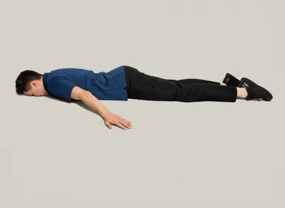 Illustration prostrate - Image 1